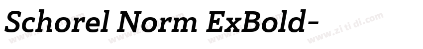 Schorel Norm ExBold字体转换